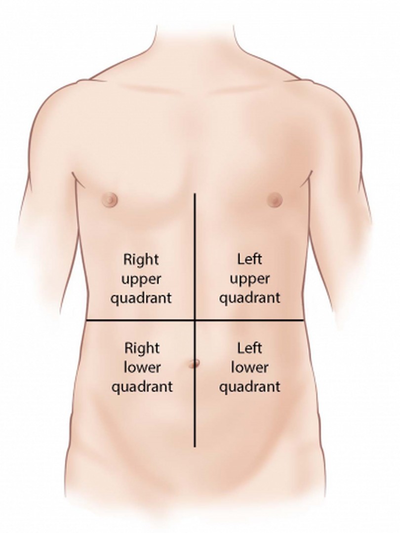 types of abdomen shape